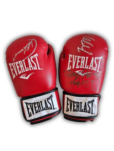 EVERLAST9.png
