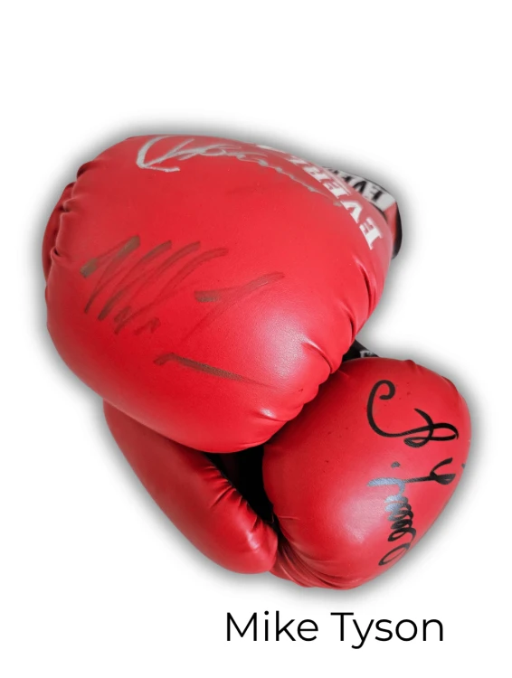 EVERLAST2.png