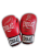 EVERLAST1.png